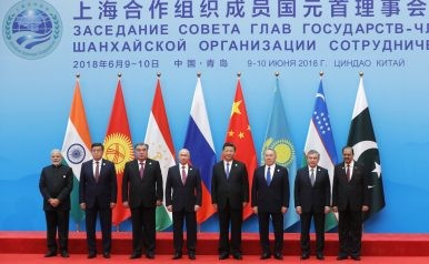 The Shanghai Cooperation Organization and its dynamics 
