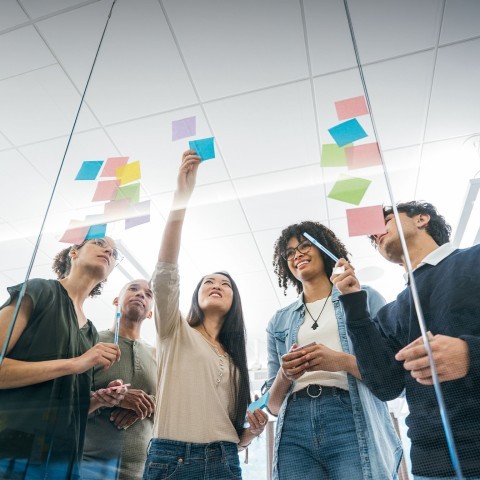 The key leverage factor of organizational culture in start-ups