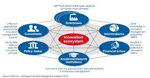 Building the right ecosystem for innovatoin