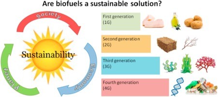 Sustainable mobility has alternatives that still evolve around the combustion engine, motorsport takes notice