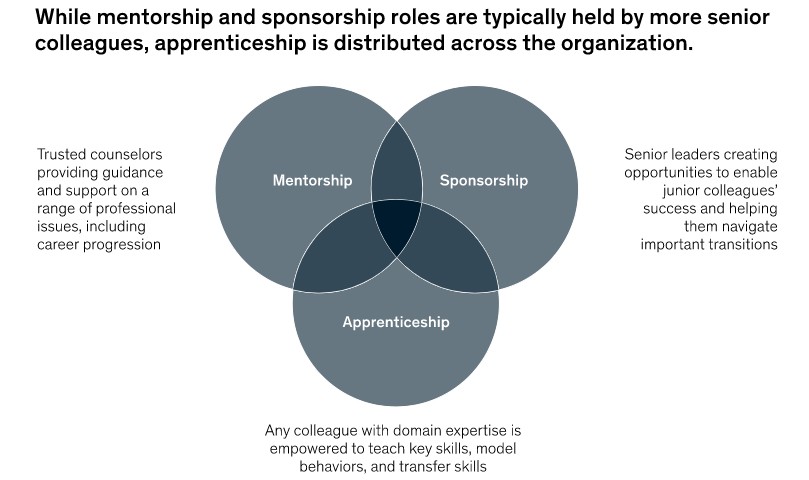 Apprenticeship to unlock continuous learning throughout the organization 