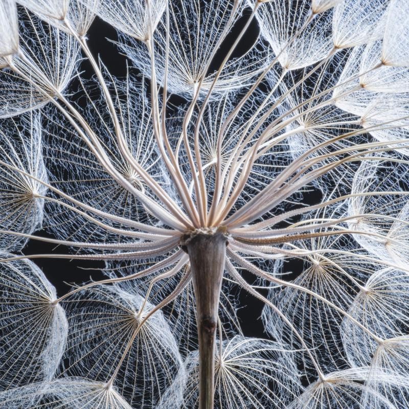 The Human Resources organisational function reimagined as change facilitator 
