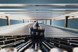 How automotive takes advantages of disruptions to change 