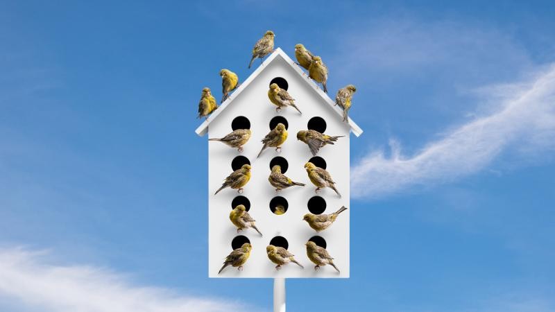 Creating effective business ecosystems involving multiple stakeholders 
