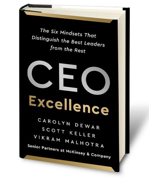 CEO's challenges and the mindsets that are required