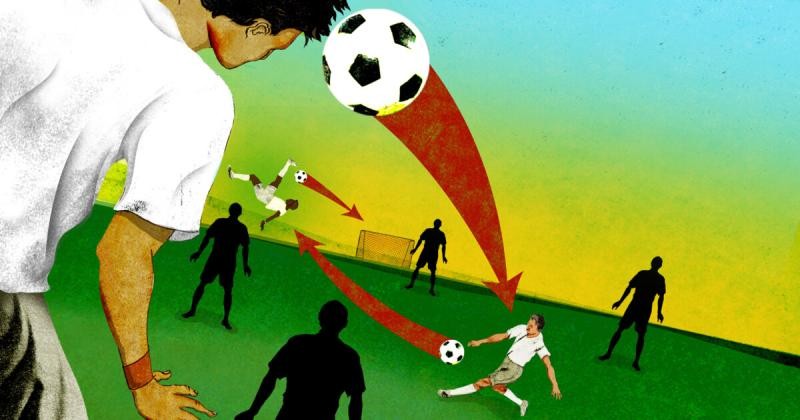 Talent development is linked to valuing individual differences within given roles